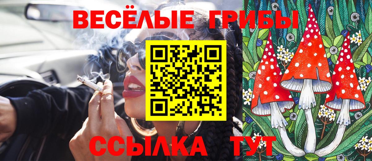 Ярцево  Галлюциногенные грибы Magic Shrooms  Вход с VPN  Галлюциногенные грибы MAGIC MUSHROOMS 